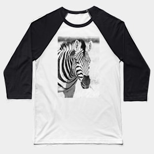 Zebra portrait. Baseball T-Shirt